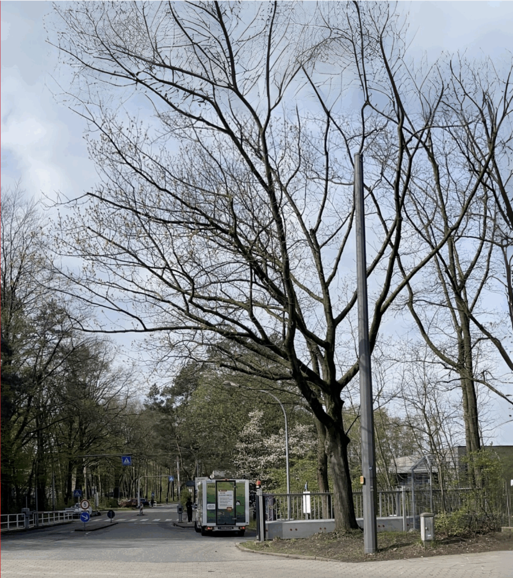 Architectural visualization of the Learning Center